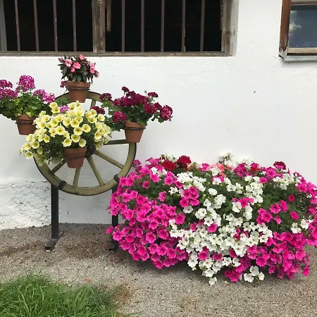 Bleierhof