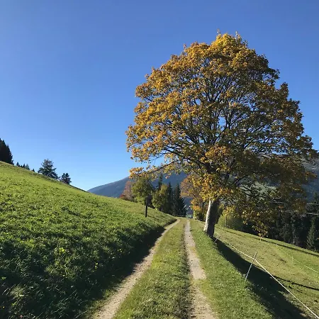 Bleierhof Lejlighed Kartitsch