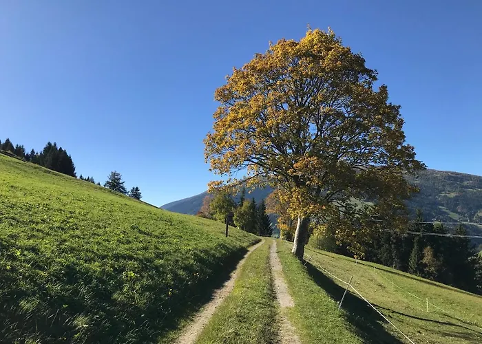 Bleierhof Appartamento Kartitsch