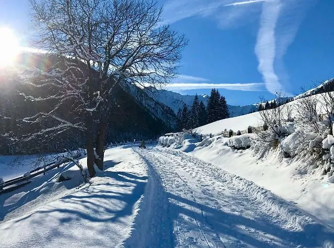 Bleierhof Daire Kartitsch