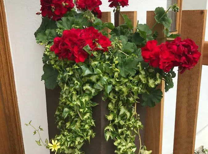 Apartman Bleierhof *